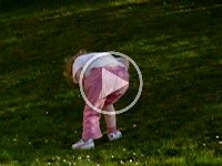 Helens Videos